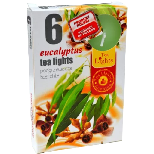 Teamécses illatos eukaliptusz 6db