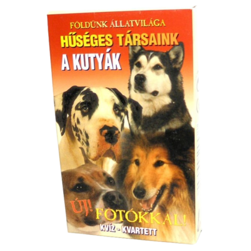 500477  Kvartett: A kutyák