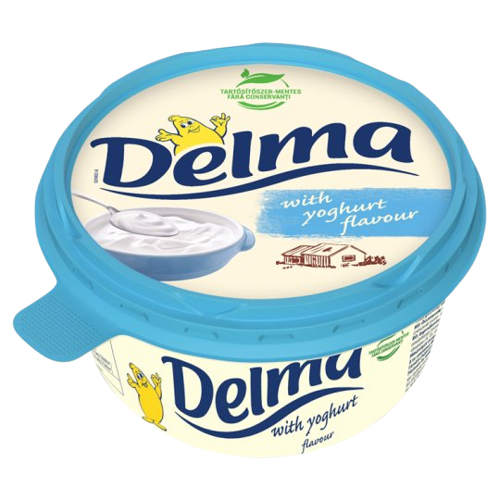 Delma yoghurt 450g