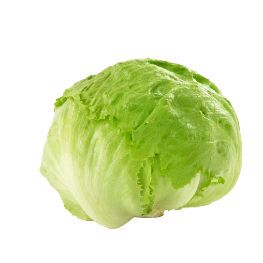 Jégsaláta II.o Spanyolország