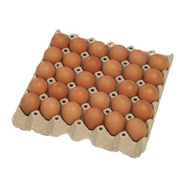 Fertőtlenített étkezési tojás M-es 53g-63g